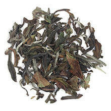 spring darjeeling