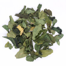 moringa tea