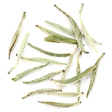 silver needle tea